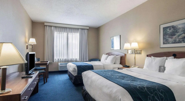 Четырёхместный номер Standard Comfort Suites University