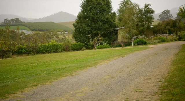 Коттедж Borrodell Vineyard