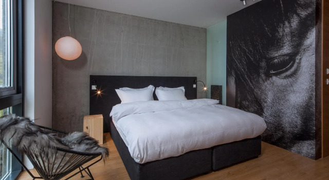 Двухместный номер Deluxe Отель ION Adventure, Nesjavellir, a Member of Design Hotels