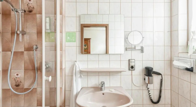 Двухместный номер Standard Landhotel Restaurant zur Krone