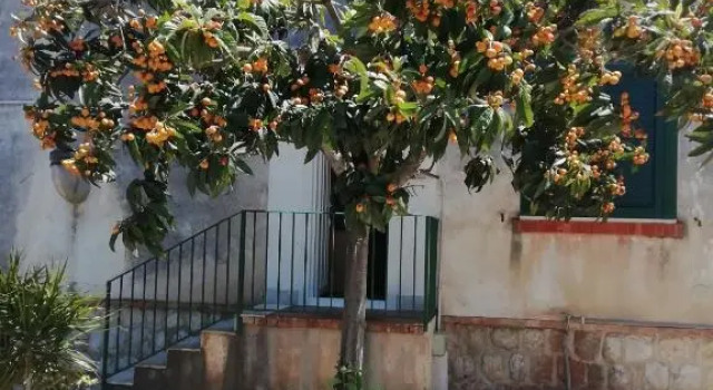 Villa Serrano