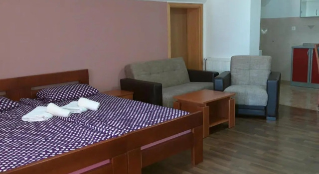 Апартаменты Guest House Šapina
