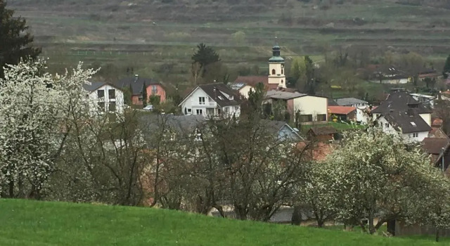 Апартаменты Holiday Apartment Bombach