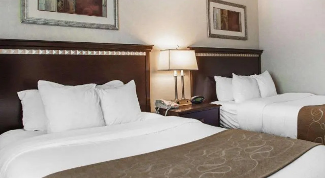 Номер Standard Garner Hotel Mahwah by IHG