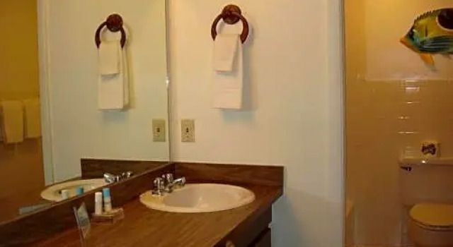 Номер Standard Beach Shell Inn