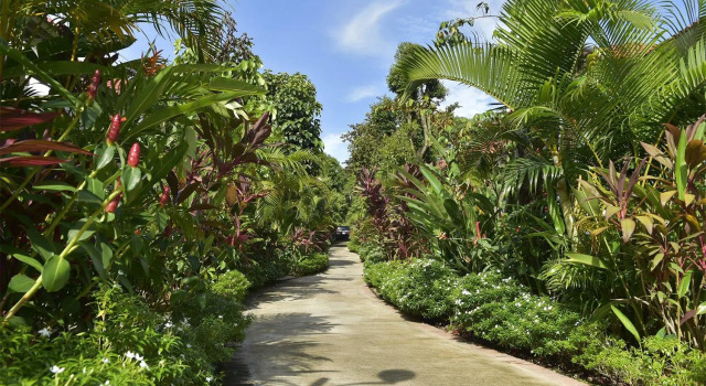 Rain Forest Resort Phu  Quoc
