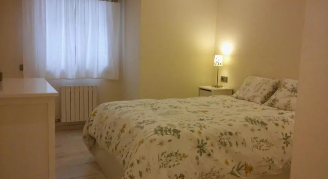Apartamento Peregrina VUT-PO-03908
