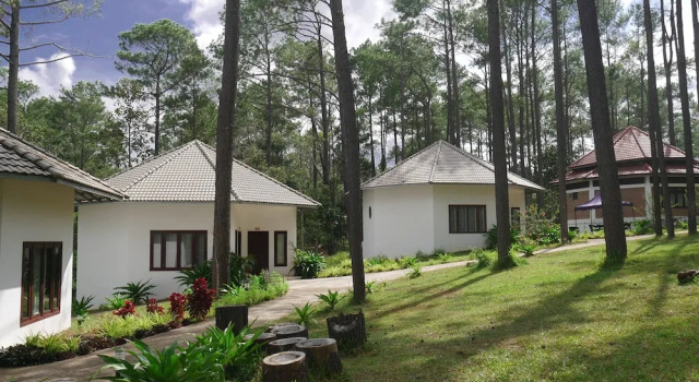 Двухместное бунгало vKirirom Pine Resort