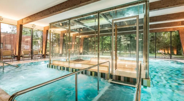 Апартаменты c 1 комнатой Wasa Resort Hotel, Apartments & SPA