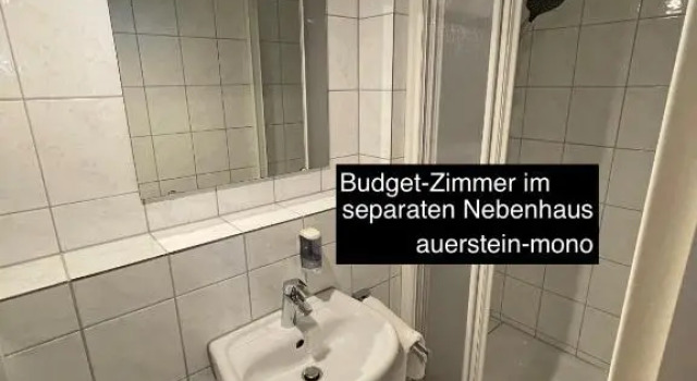 Двухместный номер Economy AUERSTEIN-Hotels auerstein & auerstein-mono