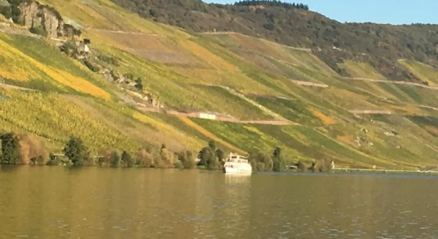 Апартаменты Ferienwohnung Mosel