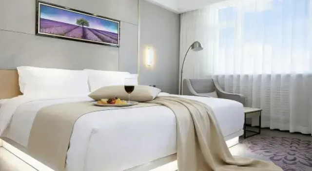 Люкс Deluxe Wellsoon Hotel