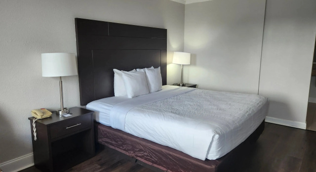 B&B HOTEL Jacksonville Airport – Newly Renovated!