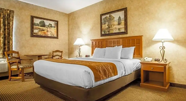Номер Standard Comfort Inn Macon