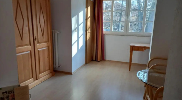 Одноместный номер Standard Hotel-Weingut Karlsmühle