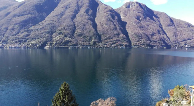 Giardino sul lago, La Vigna