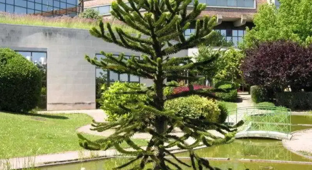 Saphir Hôtel, Забронировать Отель Отели Парижского Диснейленда с бассейном, Бассейн