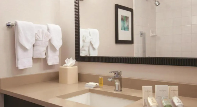 Номер Hilton Garden Inn Chicago Downtown/Magnificent Mile