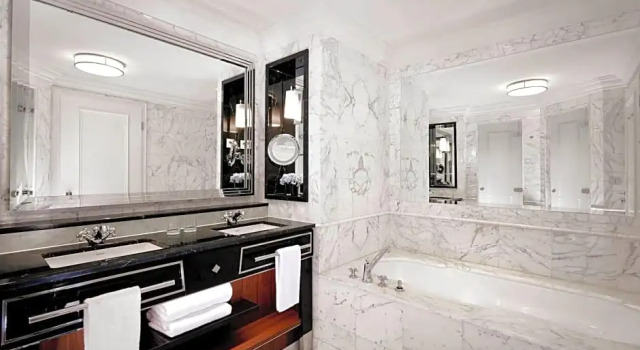 Двухместный полулюкс c 1 комнатой The Ritz-Carlton, Berlin