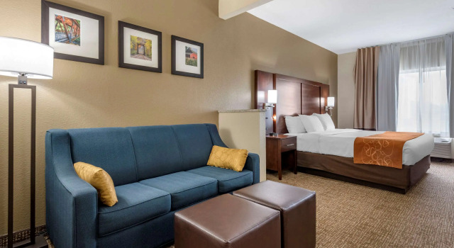 Двухместный люкс Comfort Suites Auburn near I-69