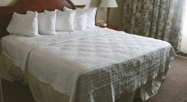 Четырёхместный номер Standard Hotel Louisville