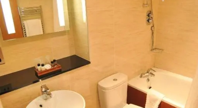 Одноместный номер Standard Golden Lion Hotel