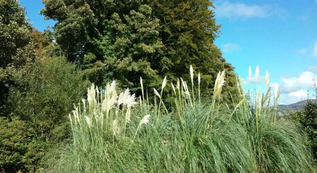 Коттедж Willowfarmhouse