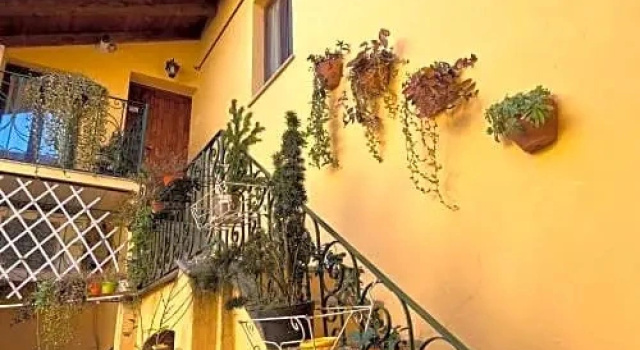 Novi Ligure House