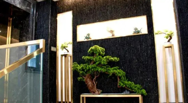 Beijing Income Generating Hotel