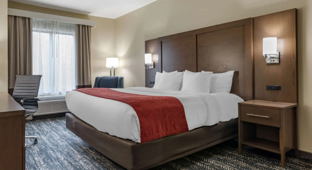 Двухместный номер Standard Comfort Inn & Suites Downtown near University