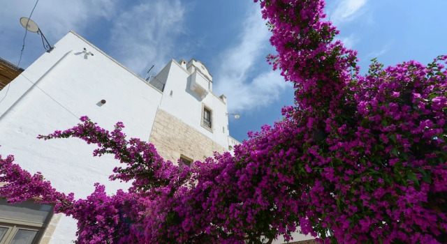 Masseria Lamiola Piccola