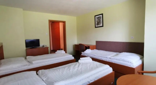 Номер Standard HOTEL SVRATKA