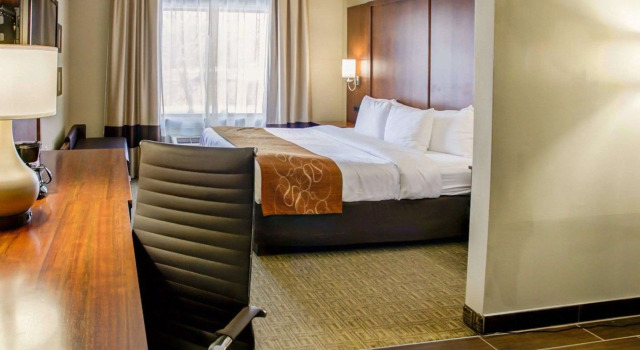 Двухместный люкс Comfort Suites Georgetown