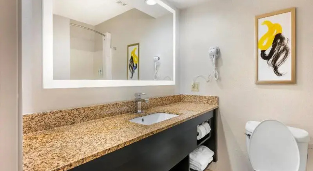 Четырёхместный люкс Comfort Inn & Suites Saint Louis Lafayette Square