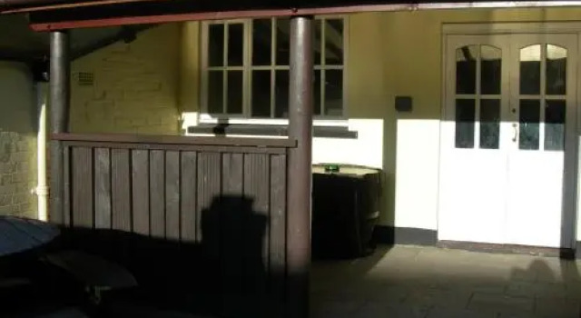The Swan