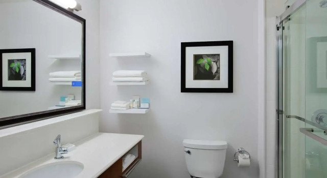 Студия Hampton Inn & Suites Mountain View