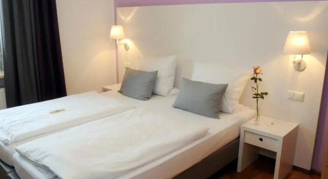 Одноместный номер Standard Hotel am alten Park