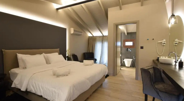 Двухместный номер Standard Мансарда Anesis Hotel