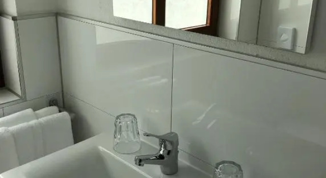 Номер Standard Hotel-Gasthaus Schwanen