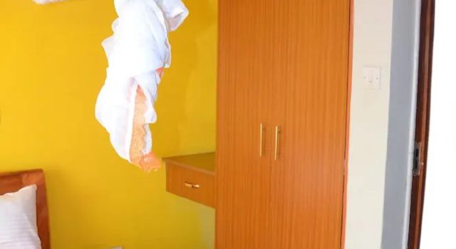 Двухместный номер Deluxe Golden Goose Hotel