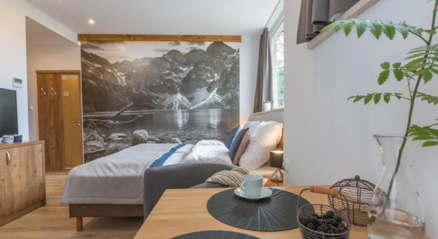 Апартаменты Stacja Zakopane - Apartamenty w centrum