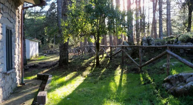 Семейный номер Standard с видом на горы Vallicciola Nature Hotel