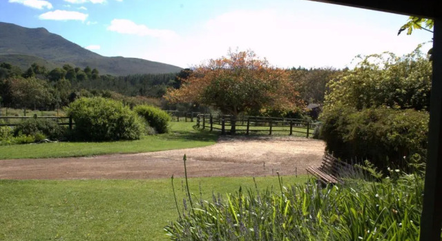 Номер Deluxe Four Fields Farm