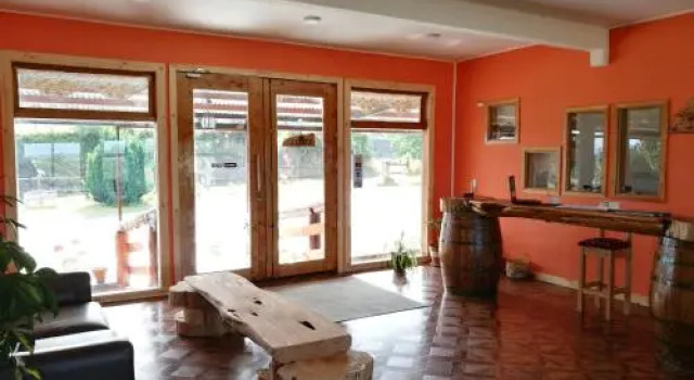 Cabañas y Lodge Antiñanco