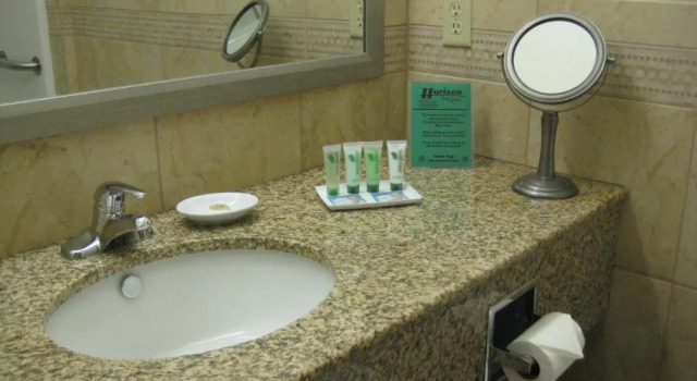 Люкс Horizon Inn & Suites