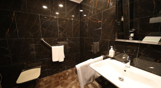 Двухместный номер Premium Holiday Inn - Trabzon-East by IHG