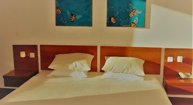 Двухместный номер Standard Quinta do Louredo Hotel