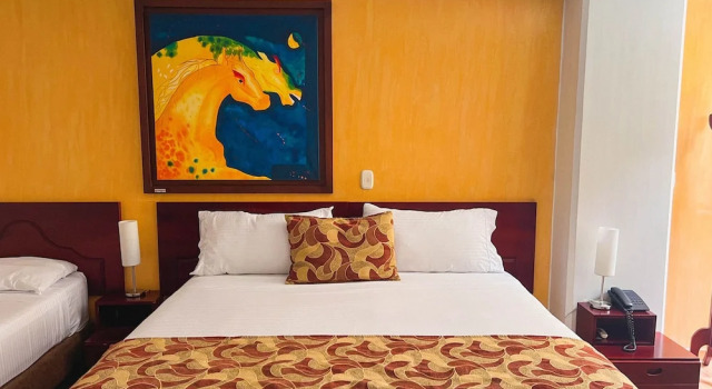 Двухместный номер Standard Hotel Luxor Pereira