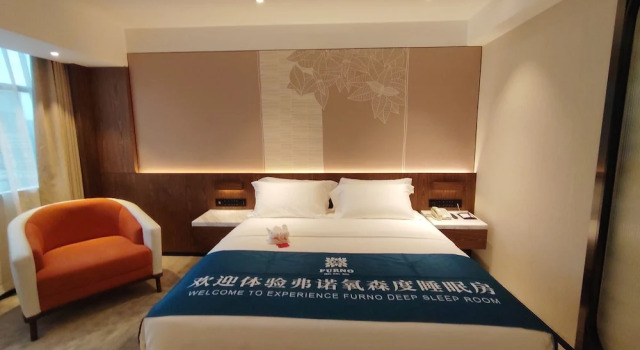 Двухместный номер Standard Guangzhou Sanyu Hotel