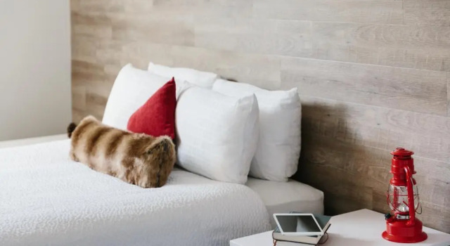 Двухместный номер Standard Elk + Avenue Hotel